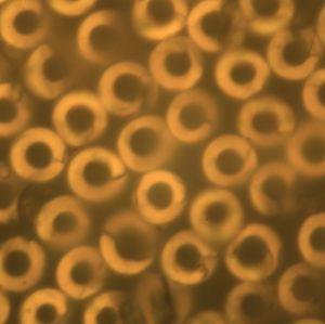 百乐博-非凡设想力,引发无限可能