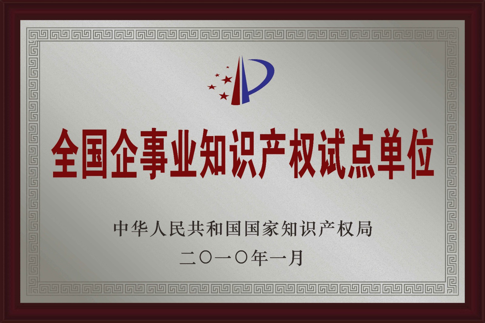 06-全国企事业单元知识产权试点单元.jpg